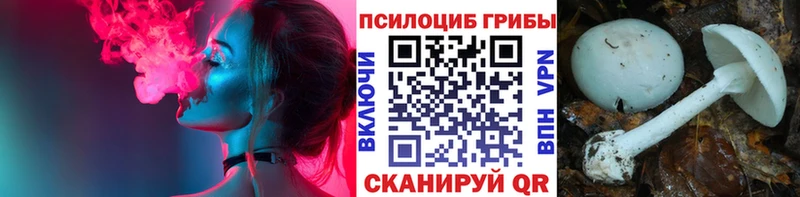 Галлюциногенные грибы GOLDEN TEACHER  Купить  Духовщина 